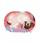 ひめ＆ねね（個別スタンプ：12）