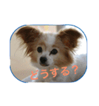 ひめ＆ねね（個別スタンプ：13）