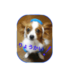 ひめ＆ねね（個別スタンプ：14）
