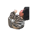 217m（個別スタンプ：13）