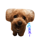 ぼくは、ぜんです。（個別スタンプ：1）