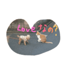 ぼくは、ぜんです。（個別スタンプ：7）