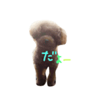 ぼくは、ぜんです。（個別スタンプ：8）