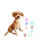 ケイシー犬 1（個別スタンプ：9）