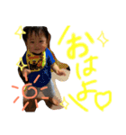 kote life2（個別スタンプ：1）