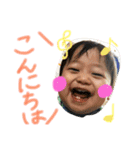 kote life2（個別スタンプ：2）