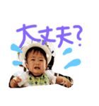 kote life2（個別スタンプ：15）