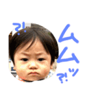 kote life2（個別スタンプ：22）