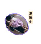 りことえーたろ（個別スタンプ：15）