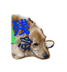 レオンとみゅう（個別スタンプ：13）