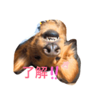 リルビー（個別スタンプ：3）