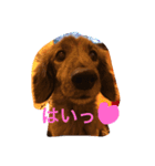 リルビー（個別スタンプ：6）
