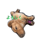 リルビー（個別スタンプ：8）