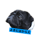 Pug ジン太とゲン太の日常2（個別スタンプ：7）
