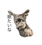 愛犬たける愛猫みゅう（個別スタンプ：1）