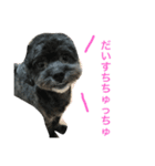 愛犬たける愛猫みゅう（個別スタンプ：6）