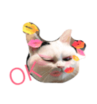 愛犬たける愛猫みゅう（個別スタンプ：8）