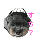 愛犬たける愛猫みゅう（個別スタンプ：12）