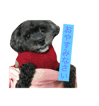 愛犬たける愛猫みゅう（個別スタンプ：14）