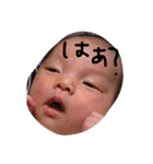 さらの毎日（個別スタンプ：2）