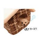チワワのチクワ（個別スタンプ：18）