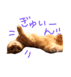 HANAスコスタンプ（個別スタンプ：8）
