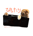 HANAスコスタンプ（個別スタンプ：12）