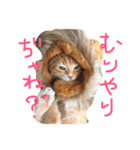 HANAスコスタンプ（個別スタンプ：14）