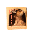 HANAスコスタンプ（個別スタンプ：18）