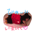 亀澤和仁（個別スタンプ：3）