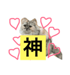 Ryoka2（個別スタンプ：7）