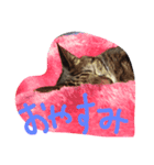 使えるトーク（個別スタンプ：8）