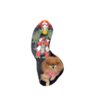 IVENT DOG（個別スタンプ：4）