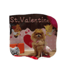 IVENT DOG（個別スタンプ：5）