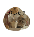 UraraStamp（個別スタンプ：6）