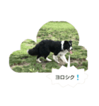 girix2borderline？（個別スタンプ：5）