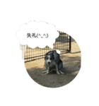 girix2borderline？（個別スタンプ：6）