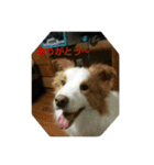 girix2borderline？（個別スタンプ：9）