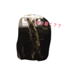 ぴょん吉（個別スタンプ：4）