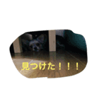 ぴょん吉（個別スタンプ：5）