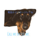 ドーベルマンの挨拶（個別スタンプ：11）