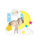 Wasabi My Shih Tzu Part 2（個別スタンプ：4）