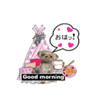 Wasabi My Shih Tzu Part 2（個別スタンプ：5）