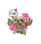 Wasabi My Shih Tzu Part 2（個別スタンプ：7）