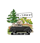 Wasabi My Shih Tzu Part 2（個別スタンプ：10）