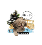 Wasabi My Shih Tzu Part 2（個別スタンプ：18）