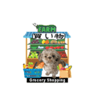 Wasabi My Shih Tzu Part 2（個別スタンプ：19）