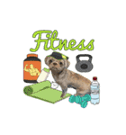 Wasabi My Shih Tzu Part 2（個別スタンプ：21）