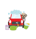 Wasabi My Shih Tzu Part 2（個別スタンプ：22）