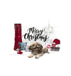 Wasabi My Shih Tzu Part 2（個別スタンプ：24）